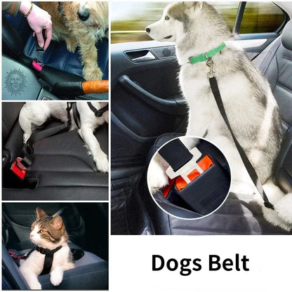 SafePet - Hundegurt für Auto - sicher unterwegs
